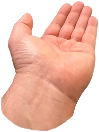 An open left palm
