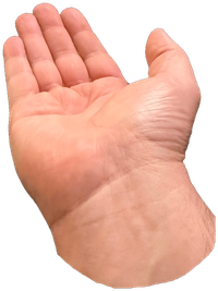 An open right palm